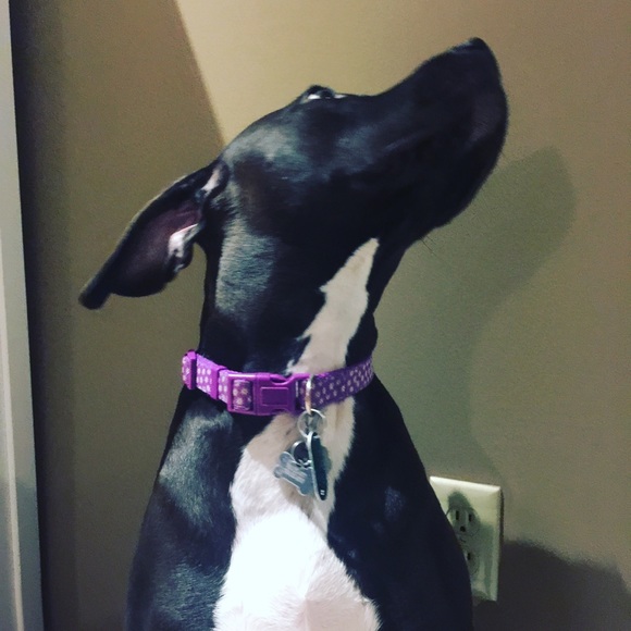 Meet your Posher, Christian - Picture 1 of 1